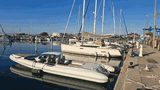 Whitmarsh rib for sale